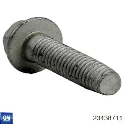 23438711 General Motors Ручка салону, даху