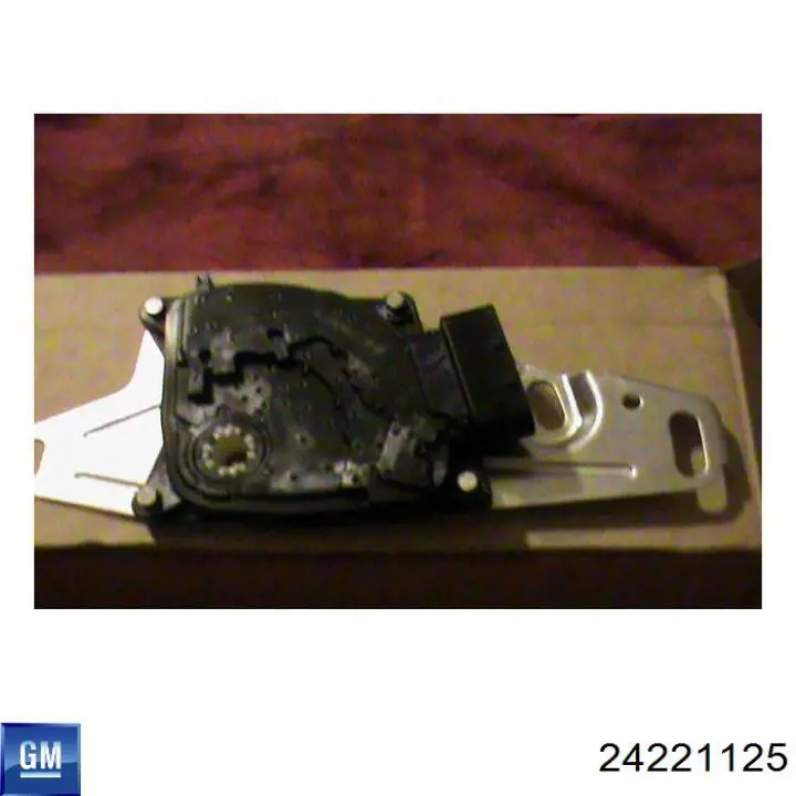 24221125 General Motors 