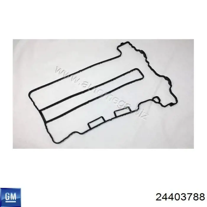 Прокладка клапанної кришки 24403788 General Motors
