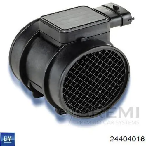 Купити 24404016 General Motors Повітромір