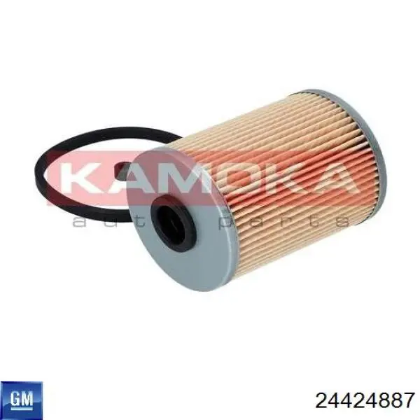 Купити 24424887 General Motors Корпус паливного фільтра
