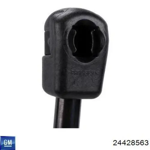 Купити 24428563 General Motors 
