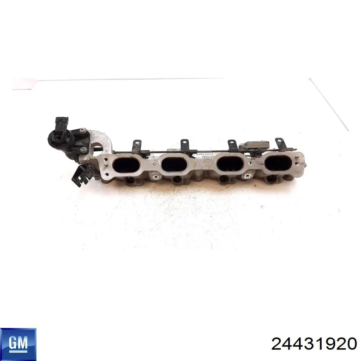 Впускний колектор 24431920 General Motors