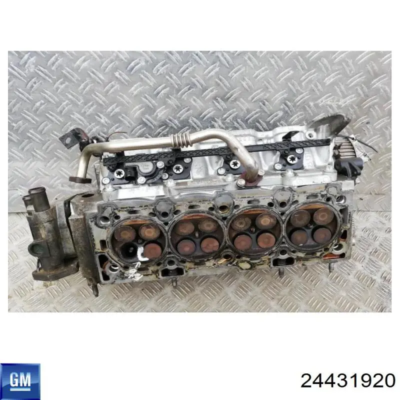 24431920 General Motors Колектор впускний