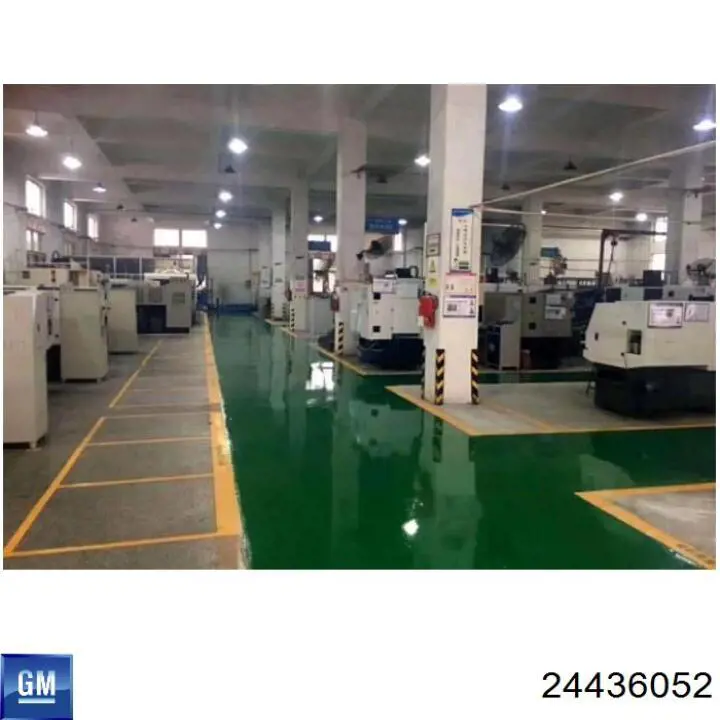 Ролик паразитний ГРМ 24436052 General Motors