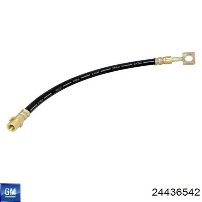 Шланг гальмівний задній General Motors 24436542 ціна, від 8.01 USD