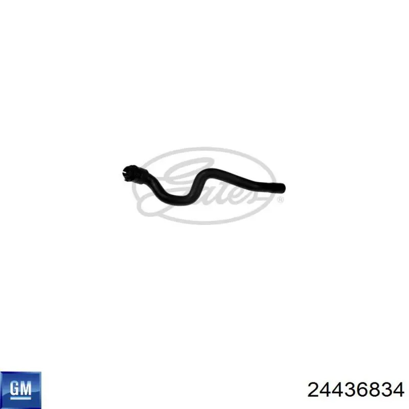 Шланг радіатора опалювача/пічки, подача 24436834 General Motors
