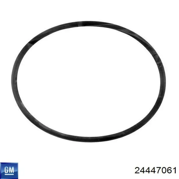  General Motors 24447061 ціна, від 4.40 USD