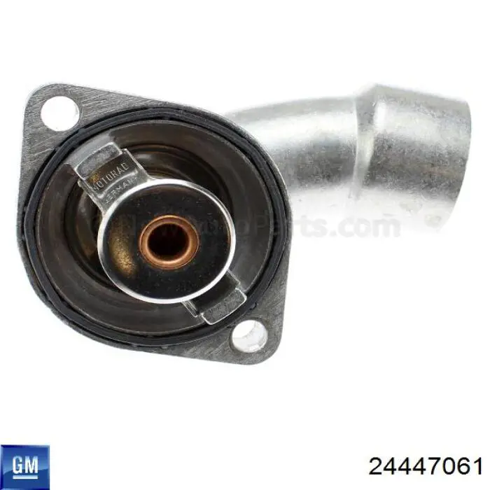 Купити 24447061 General Motors 