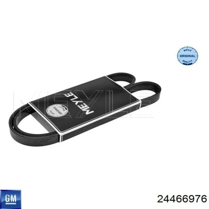 24466976 General Motors Поліклиновий ремінь