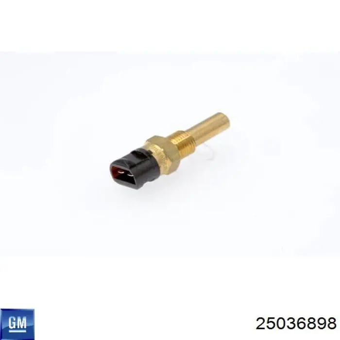 Купити 25036898 General Motors Датчик температури охолоджуючої рідини
