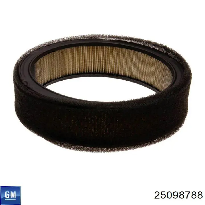 Корпус повітряного фільтра, верхня частина General Motors 25098788 ціна, від  USD