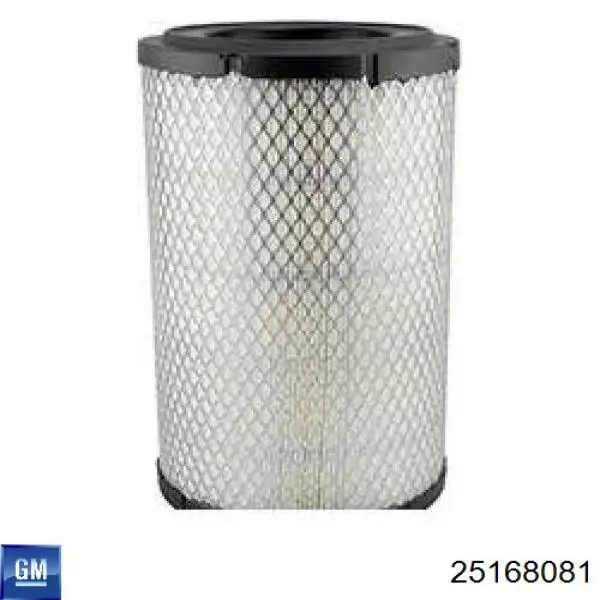 Елемент повітряного фільтра General Motors 25168081 ціна, від 20.39 USD