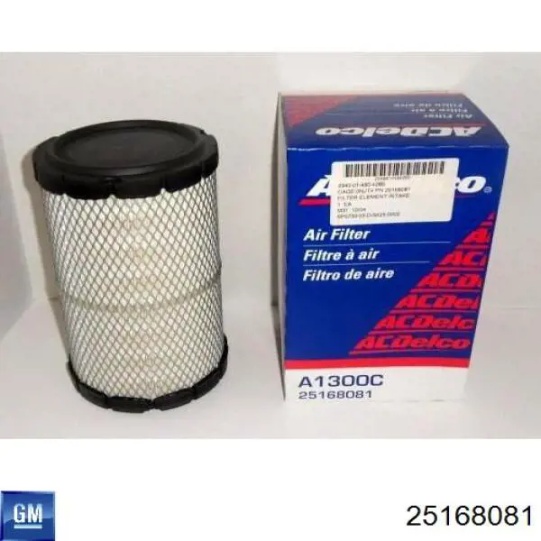 Купити 25168081 General Motors Автомобільний фільтр повітря