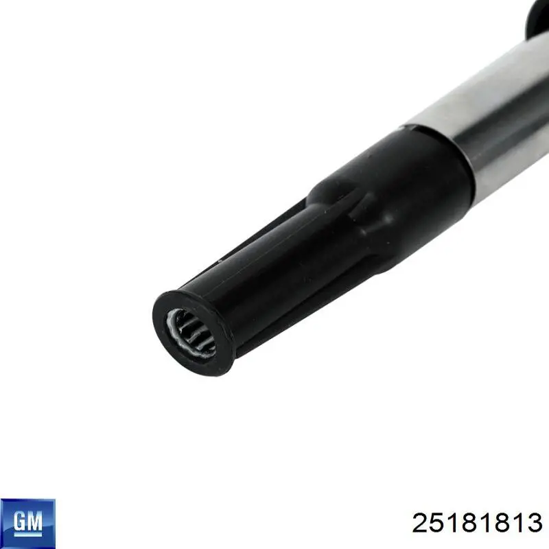 Котушка General Motors 25181813