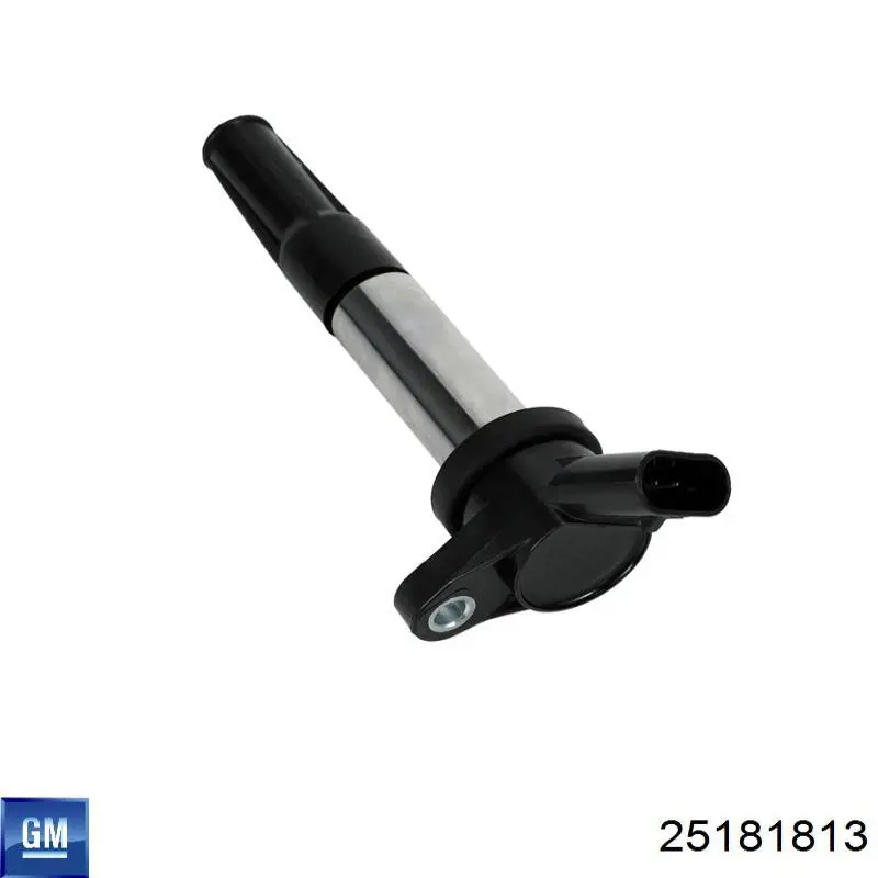 Котушка запалювання General Motors 25181813 ціна, від 58.32 USD