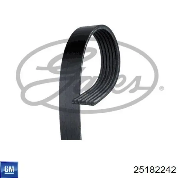 Купити 25182242 General Motors Ремінь генератора