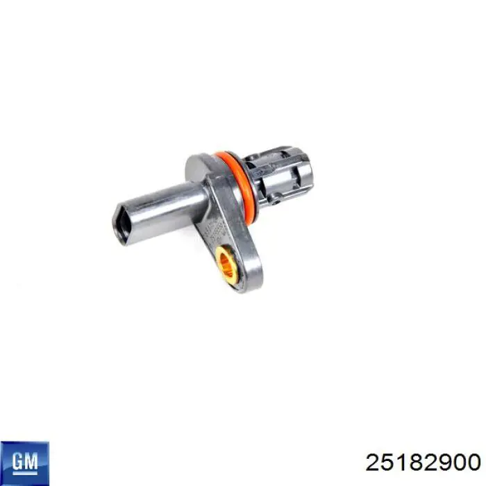 25182900 General Motors 