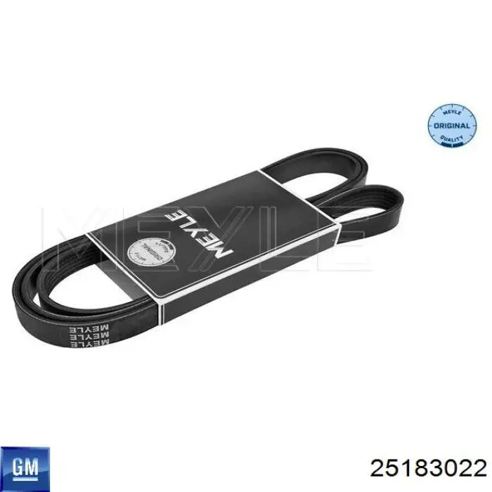 Ремінь генератора 25183022 General Motors