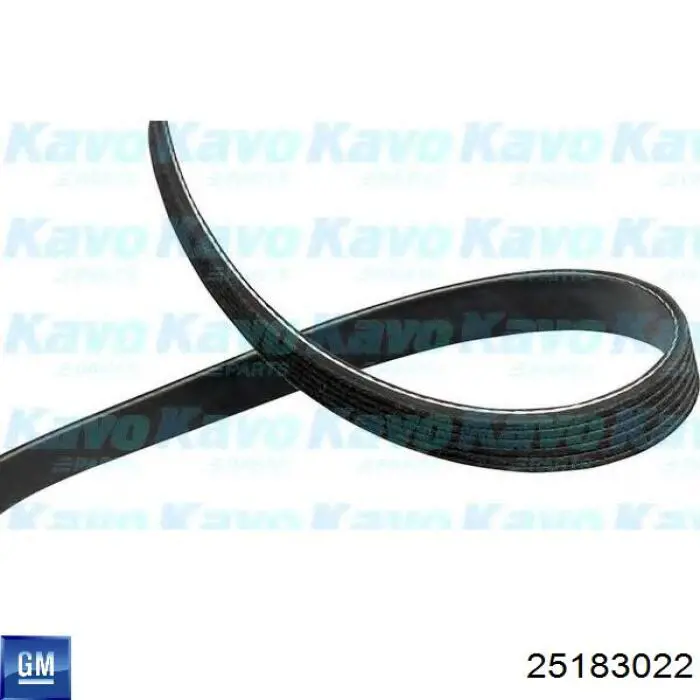 Клиновий ремінь General Motors 25183022 ціна, від 15.93 USD
