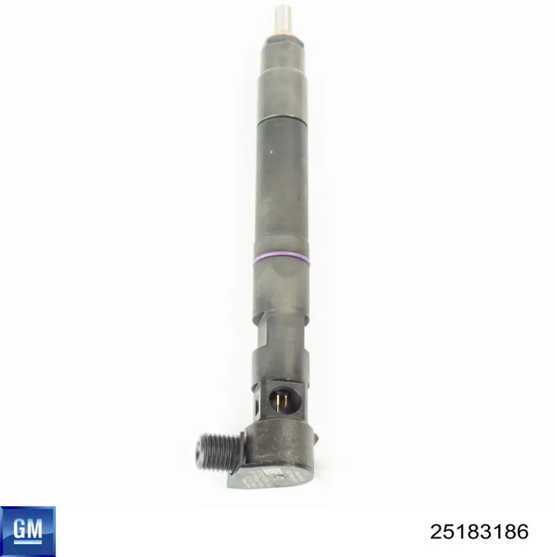 Форсунка паливна General Motors 25183186 ціна, від 118.11 USD