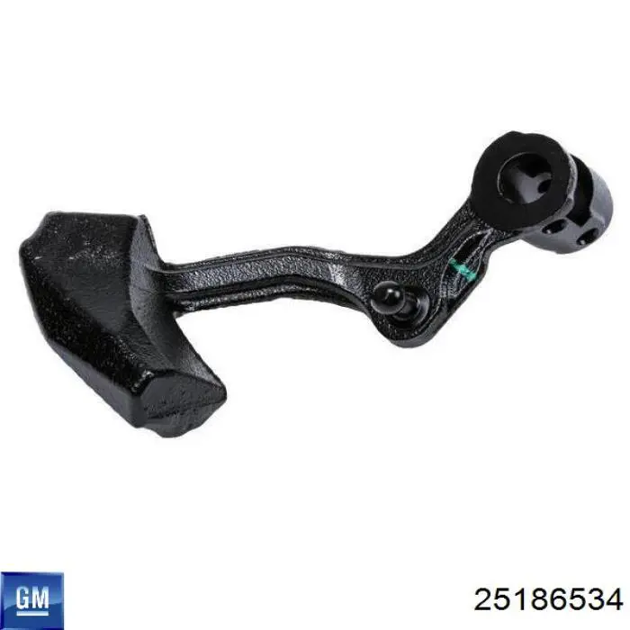 25186534 General Motors 