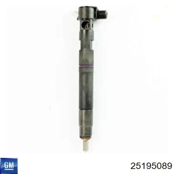 Форсунка паливна General Motors 25195089 ціна, від 118.51 USD