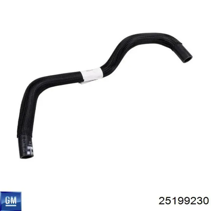 25199230 General Motors Двигун у зборі (електричний)