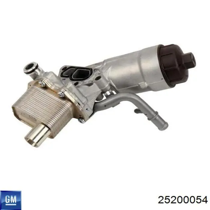Купити 25200054 General Motors 