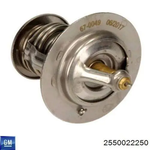 2550022250 General Motors Авто термостат