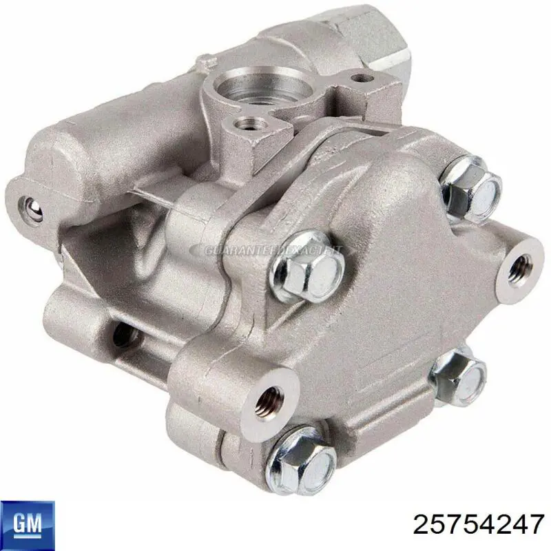 Насос ГУР P1661HG Motorherz