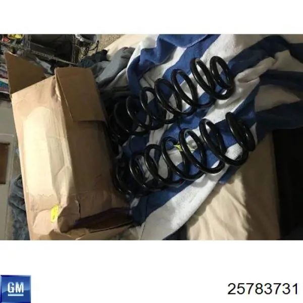 25783731 General Motors