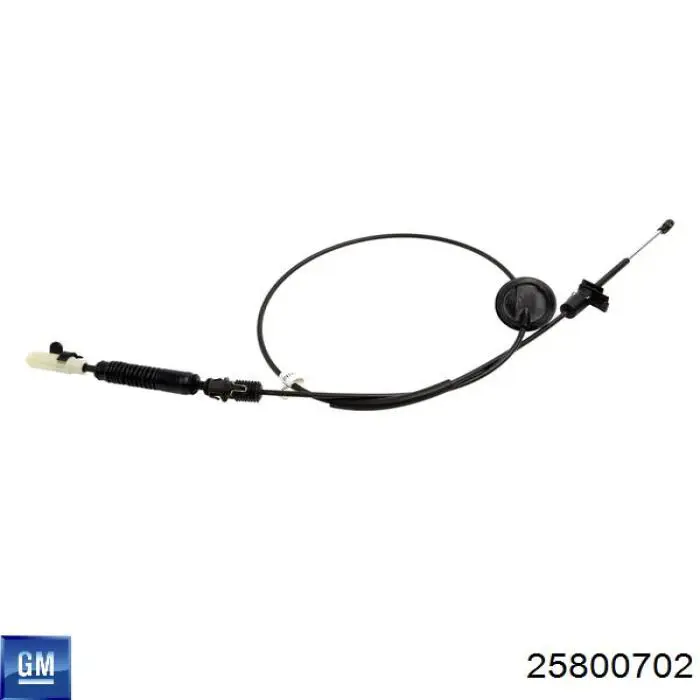 Купити 25800702 General Motors 