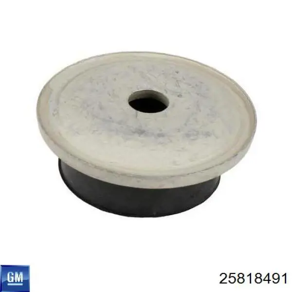 25818491 General Motors Амортизатори задні
