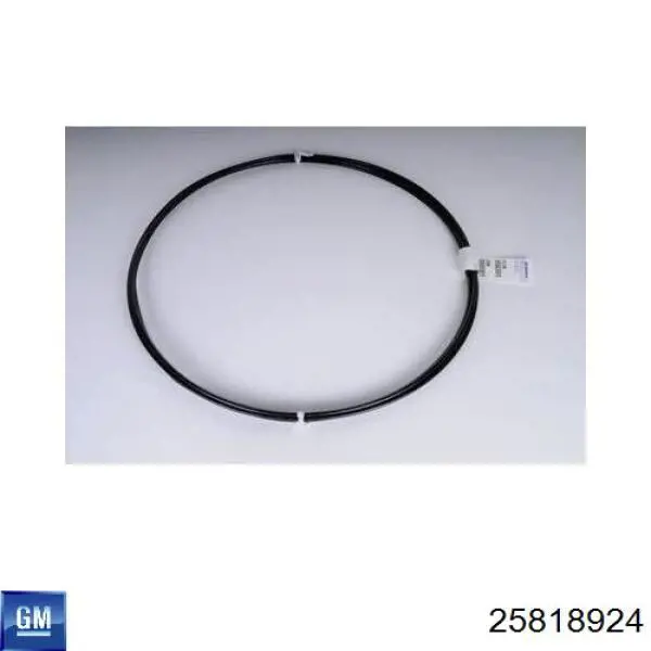  General Motors 25818924 ціна, від 11.28 USD