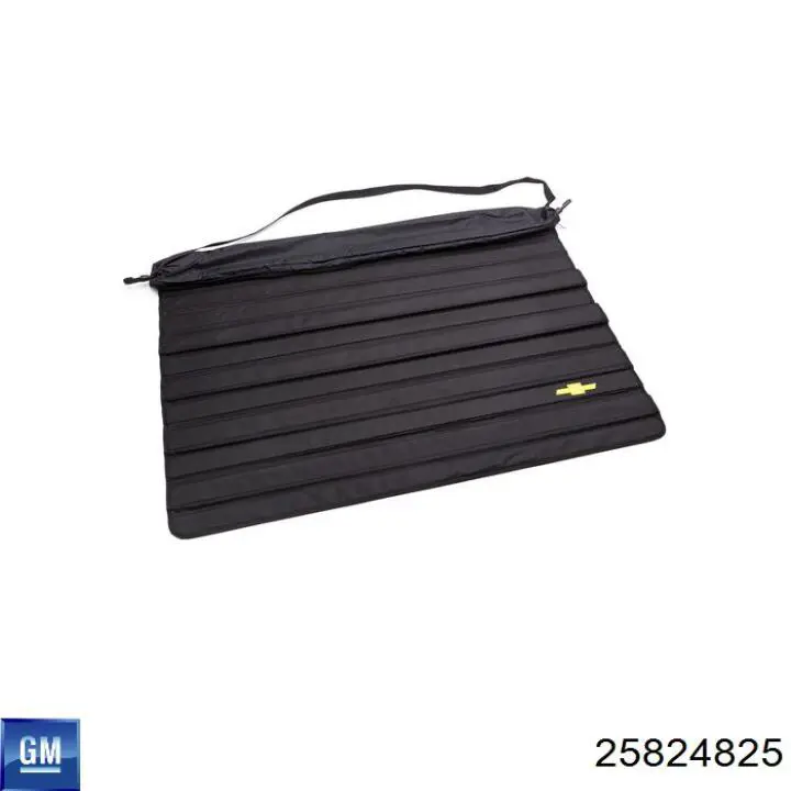 25824825 General Motors 