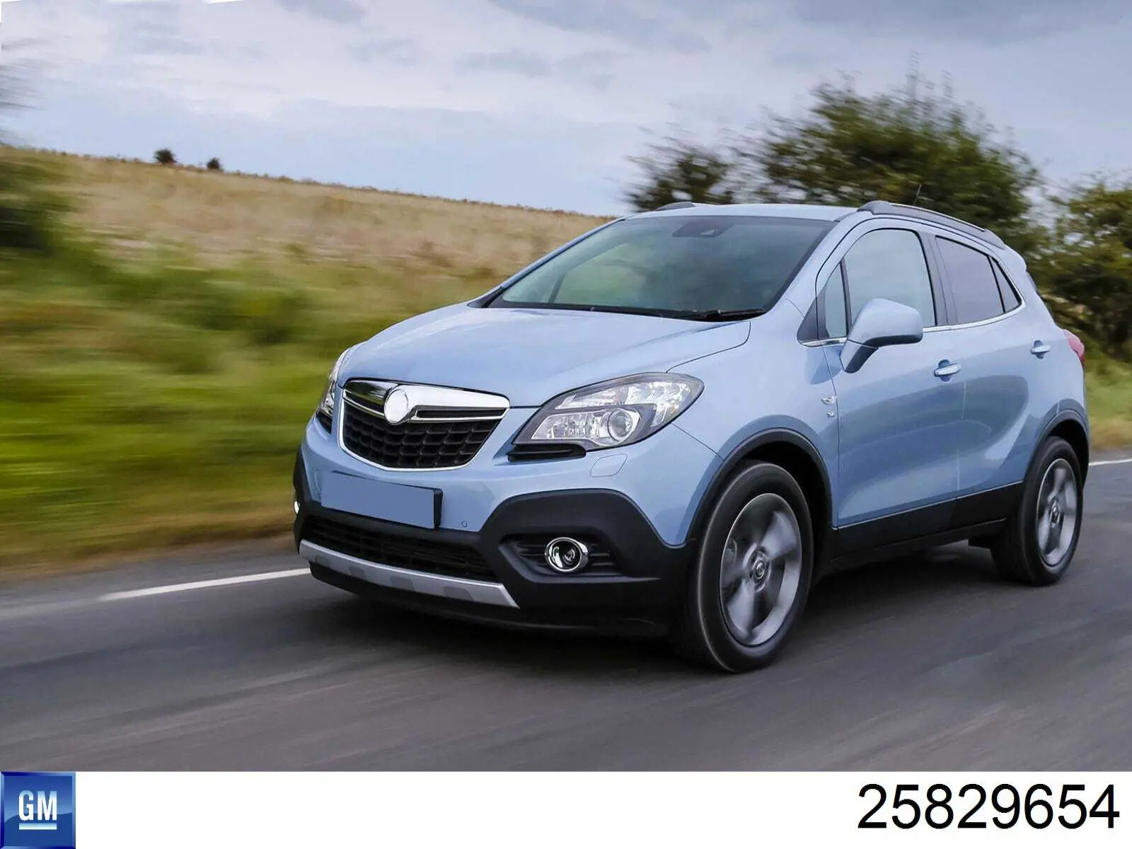 Купити 25829654 General Motors Фара протитуманна, ліва=права