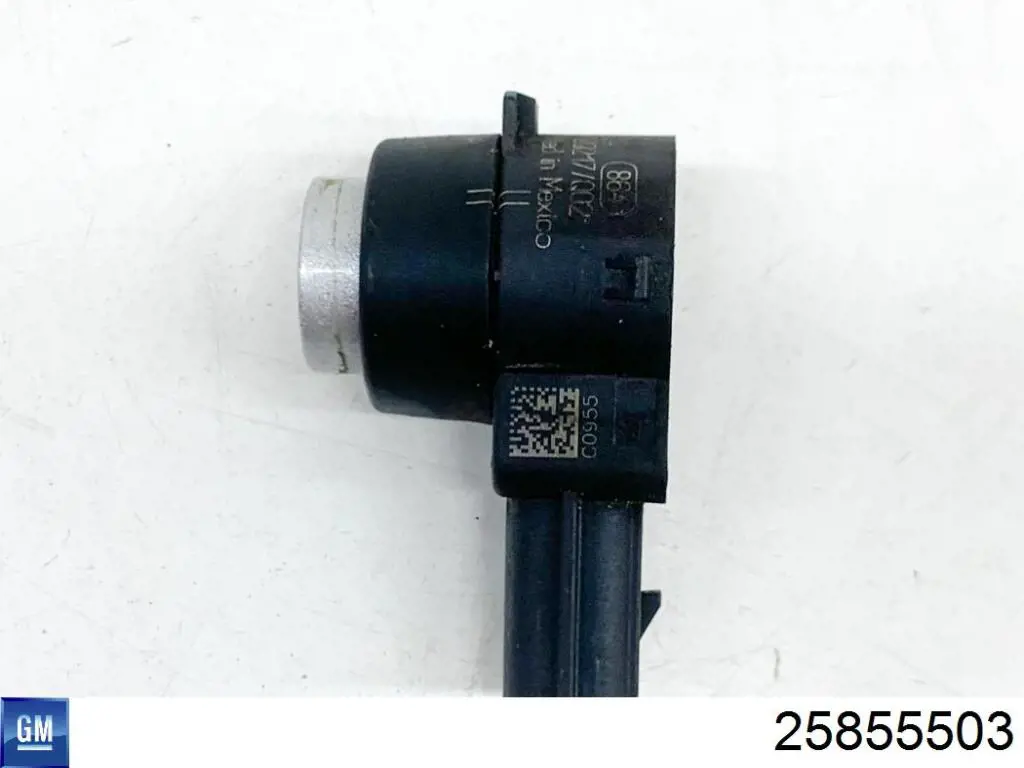 25855503 General Motors 