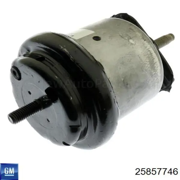  General Motors 25857746 ціна, від 161.11 USD