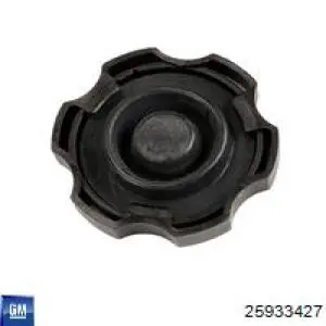 25933427 General Motors 