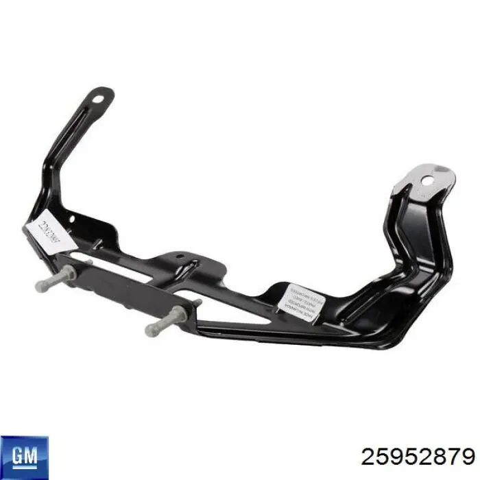 Купити 25952879 General Motors 