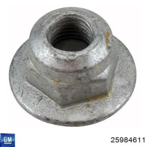 Амортизатор задній 25984611 General Motors