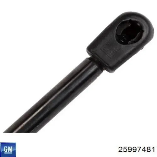 25997481 General Motors Амортизатор кришки багажника / двері 3/5-ї задньої