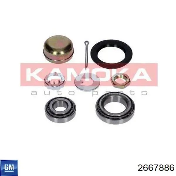 Купити 2667886 General Motors Підшипник маточини задньої, зовнішній