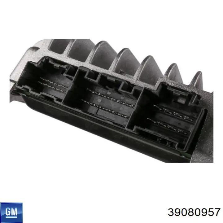Купити 39080957 General Motors 