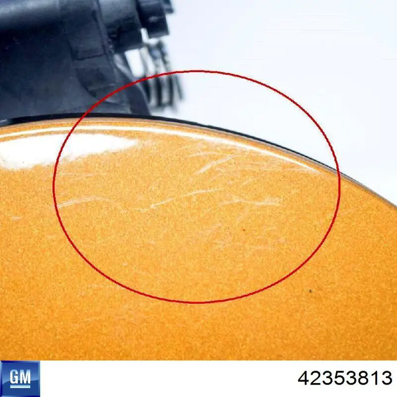 42353813 General Motors 