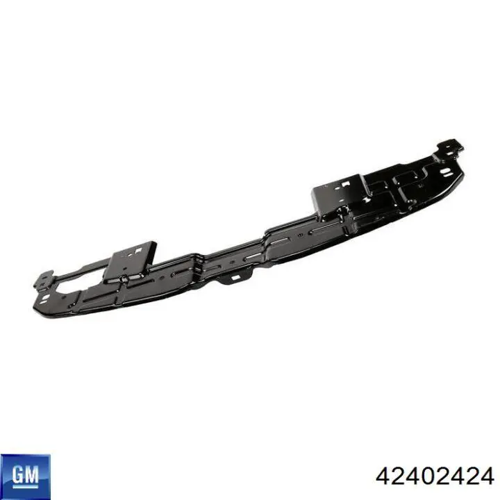 42402424 General Motors 