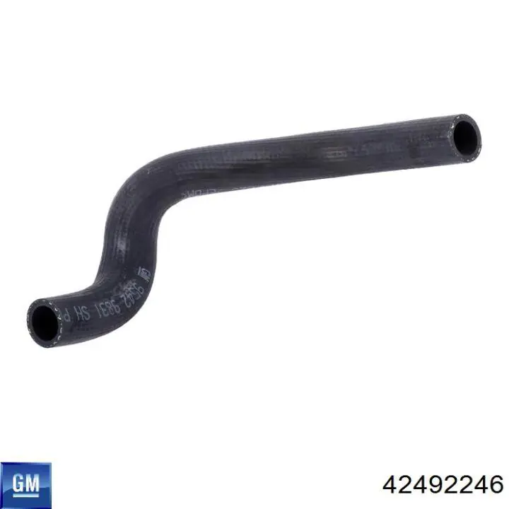 42492246 General Motors 