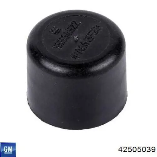 Купити 42505039 General Motors 