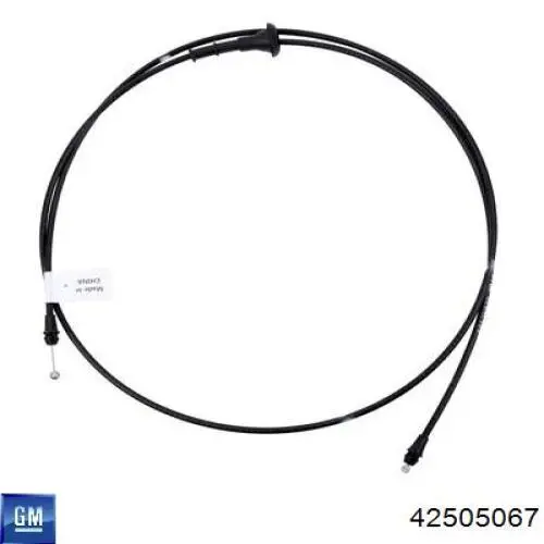 Купити 42505067 General Motors 